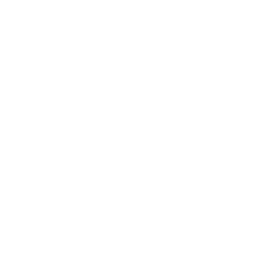 The Mike Ferry Organization